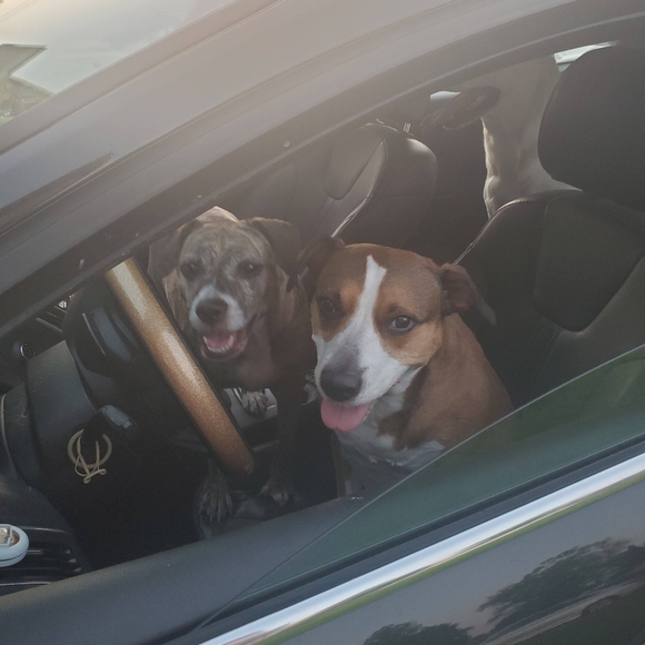 🐾my babies🐾 - Picture 6 of 11